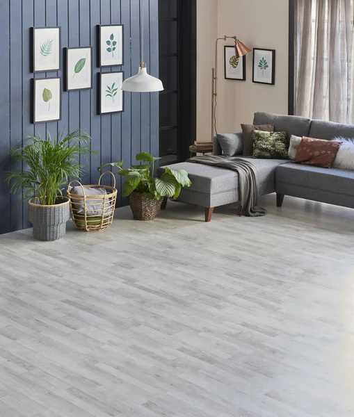 Inicio Concepto Interior Diseño Alfombras Con Muchos Objetos Habitación — Foto de Stock