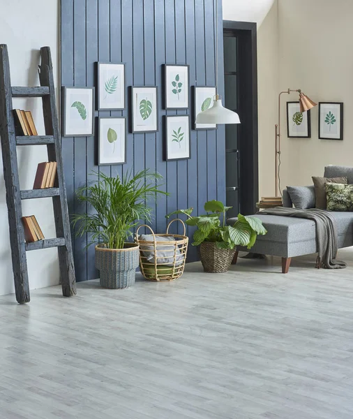 Home Conceito Interior Design Carpete Com Muitos Objetos Sala — Fotografia de Stock