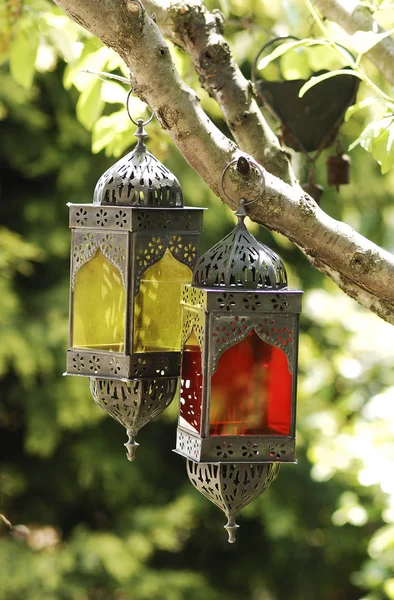 Estilo Decorativo Jardim Casa Móveis Galss Detalhe Flor Ainda Vida — Fotografia de Stock