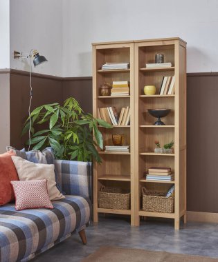 modern raf dekorasyonu ve kanepe