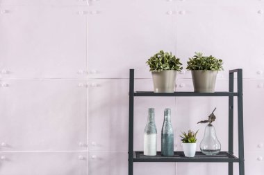 Taş duvar arkaplan kitap rafı vazosu bitki ve şişe.