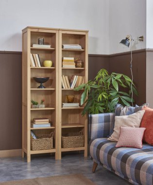 modern raf dekorasyonu ve kanepe