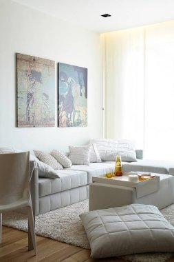 Ev dekoratif nesneler, mobilya tasarımlı duvar yastığı halı..