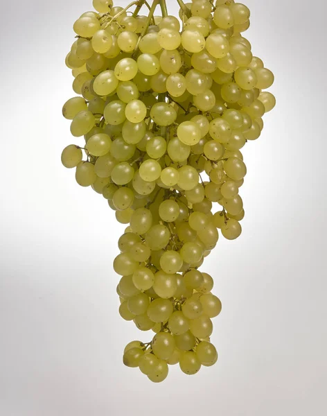 Winogrona Wyizolowane Białym — Zdjęcie stockowe