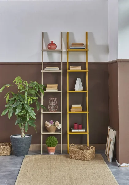 Modern Shelf Decoration Green Plant — Stock Photo, Image