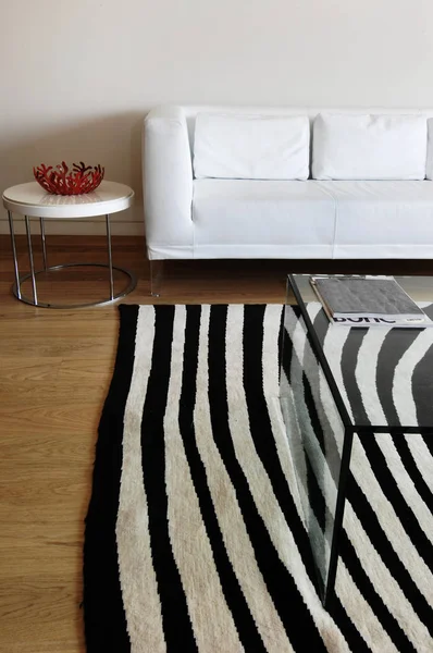 Zebra Pattern Carpet Living Room — Stock Photo, Image