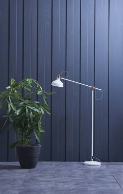 Modern koyu mavi duvar, dokulu duvar, mavi dekoratif duvar ve iç konseptyeşil bitki. 