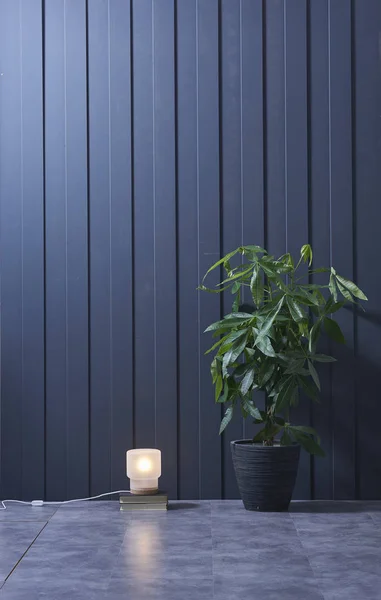 现代深蓝色墙 纹理墙 蓝色装饰墙 绿色植物在室内概念 — 图库照片