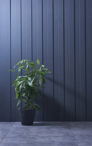 Dinding Biru Tua Modern Dinding Bertekstur Dinding Dekoratif Biru Dan — Stok Foto