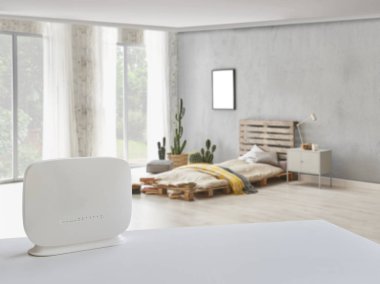 Yatak odası ahşap palet tarzı ile gri taş duvar, yatak odasında kaktüsler