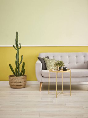 Gri kanepe mobilya ve tertibatları, sarı duvar arka plan.