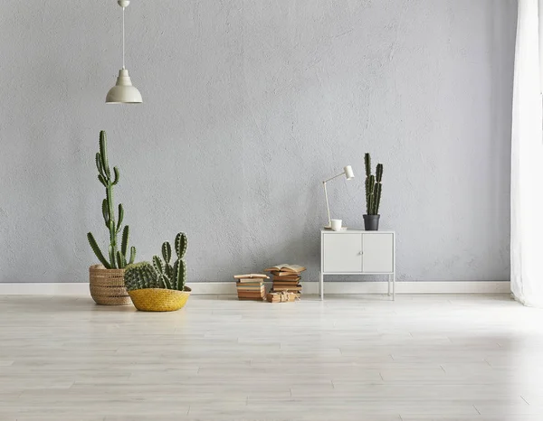 Fondo Pared Piedra Gris Habitación Interior Gris Casa Moderna Cactus — Foto de Stock