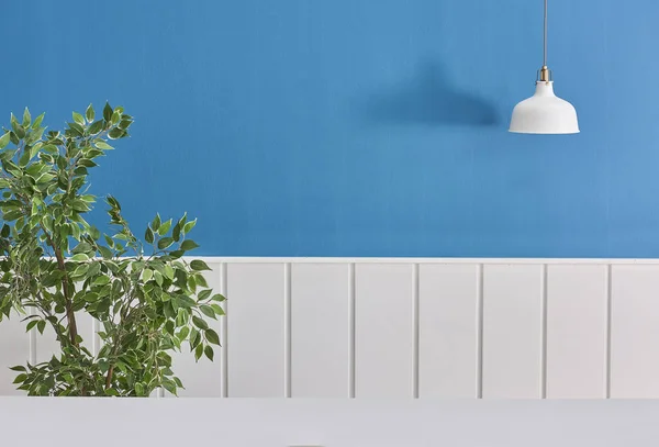 Деревянный Стол Синий Белый Фон Растение Белый Концепт — стоковое фото