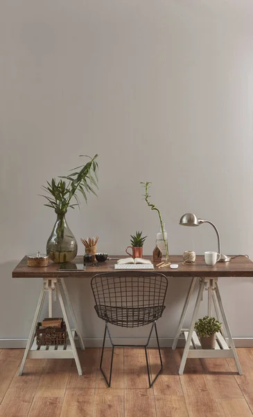 Living Room Style Brown Parquet Room Chair Plants Styling — Stock Photo, Image