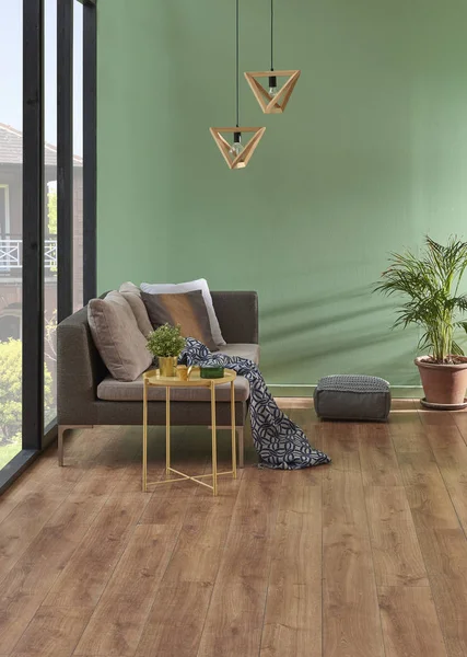 Grüne Wand Und Wohnzimmer Graues Sofa Mit Pflanzen Leere Fläche — Stockfoto