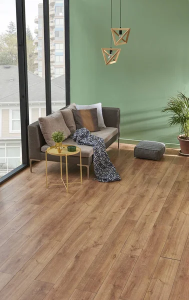 Grüne Wand Und Wohnzimmer Graues Sofa Mit Pflanzen Leere Fläche — Stockfoto