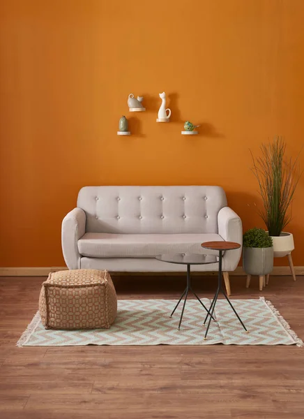 Orange Vägg Och Grå Soffa Interiör Rum Med Växter — Stockfoto