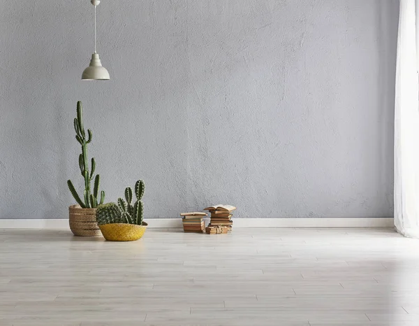 Gri taş duvar arka plan, gri iç oda, Modern ev, kaktüsler. Odadaki ev eşyaları ve parke detayı