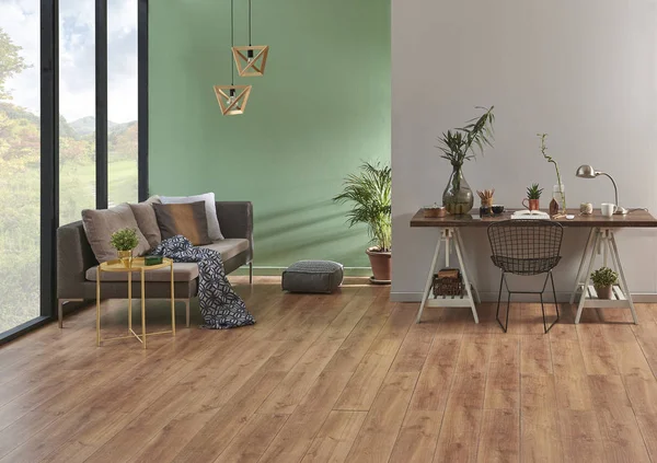 yeşil duvar ve salon. Gri kanepe bitkiler ile. Halı için boş alanı