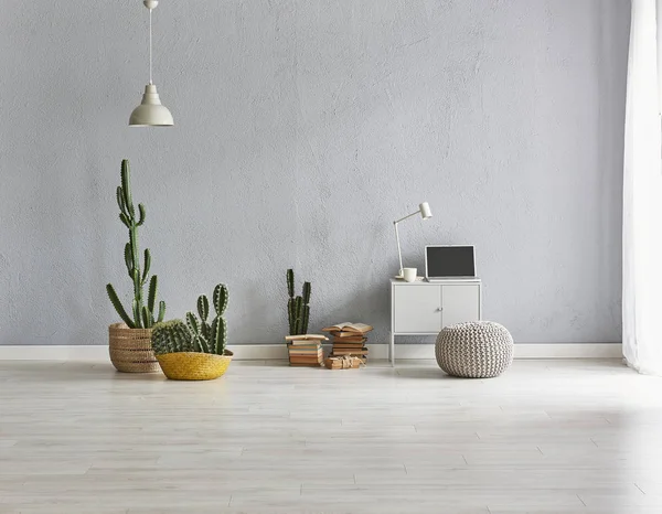 Grijze Stenen Muur Achtergrond Grijze Interieur Kamer Modern Huis Cactuses — Stockfoto