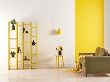 modern oda sarı ve beyaz arka plan ve yeşil kanepe tarzı, bitki ve kitap vazosundan kitap rafı..