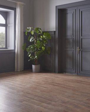 Pencere ve manzaralı dekoratif oda tarzı. Ev dekorasyonu, gri renkli duvar, bitki ve kapı dekorundan yapılmış vazo..