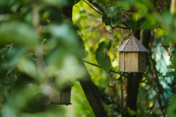Birdhouse Árbol — Foto de Stock