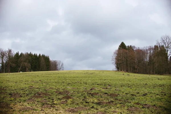 Ağaçlarla ve mavi gökyüzüyle manzara