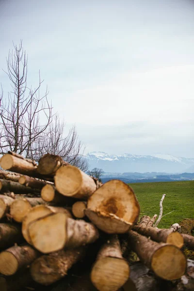 pile of logs in the forest with mountains in the background