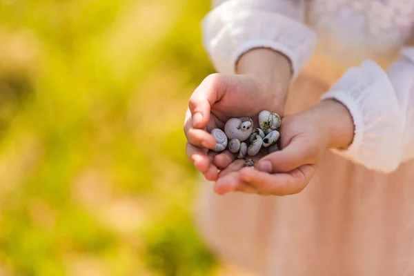 salyangoz kabukları holding çocuklar eller