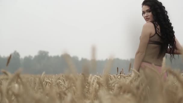 Дівчина Пшеничному Полі — стокове відео
