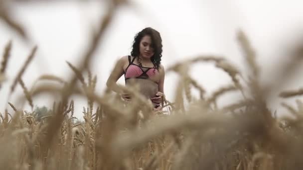 Дівчина Пшеничному Полі — стокове відео