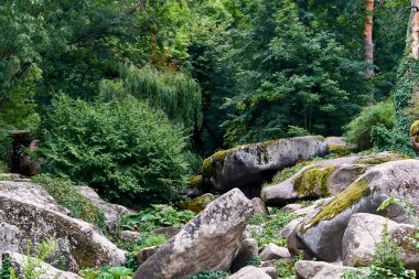 Yaz manzarası. Ağaçlar ve taşlar