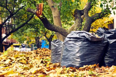 Bir şeyi temizleme eylemi, özellikle de evin içini.