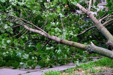 Şiddetli rüzgarlar ve genellikle yağmur, gök gürültüsü, şimşek ya da kar ile atmosferde şiddetli bir bozulma.