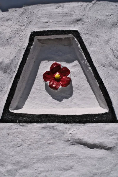 Eski gül mottif, beyaz bir duvar, New Abbey, İskoçya ayarlanır.