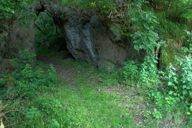 Bir kaya kemeri ormana bir ağ geçidi oluşturan, Dumfries ve galloway, İskoçya
