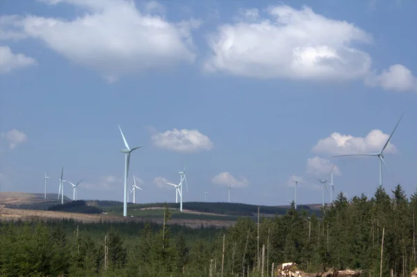 Turbiny Wiatrowe Foest Dumfries Galloway Szkocja — Zdjęcie stockowe