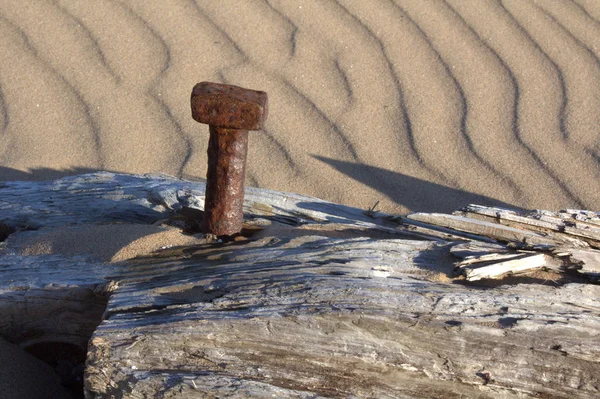 Dalgalı bir plajda çürüyen ahşap kiriş bir paslı cıvata.
