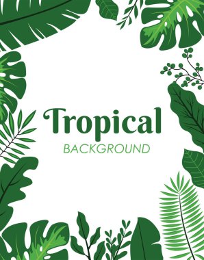 Yeşil tropikal yapraklar dekoratif arkaplan taşıyıcı