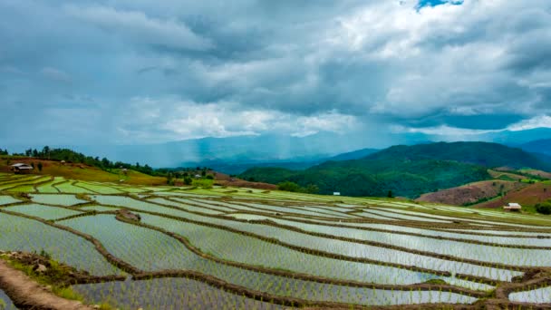 Time Lapse Nuvens Movendo Sobre Campos Arroz Refletidos Água Aldeia — Vídeo de Stock