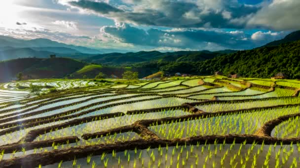 Time Lapse Nubes Moviéndose Sobre Los Campos Arroz Reflejados Agua — Vídeo de stock