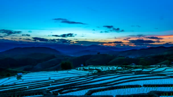 Time Lapse Cielo Dopo Tramonto Sulle Risaie Riflesso Acqua Bong — Video Stock