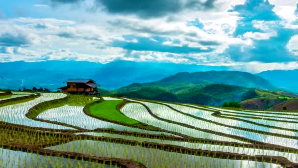 Lapso Tempo Nuvens Movendo Sobre Campos Arroz Refletido Água Bong — Vídeo de Stock