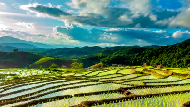 Lapso Tempo Nuvens Movendo Sobre Campos Arroz Refletido Água Bong — Vídeo de Stock