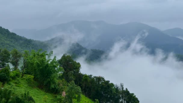 Landskap Morgondimman Regnperioden Phi Pan Nuea Omkoi Chiang Mai Provinsen — Stockvideo