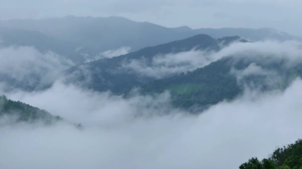 Landschap Van Ochtendnevel Het Regenseizoen Phi Pan Nuea Omkoi Provincie — Stockvideo