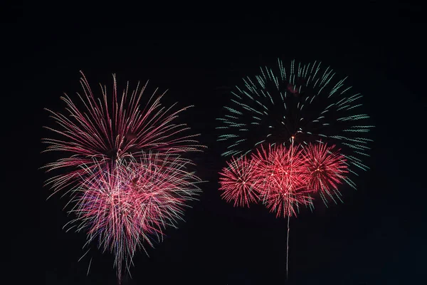 Coloridos Fuegos Artificiales Exhiben Noche Vacaciones — Foto de Stock