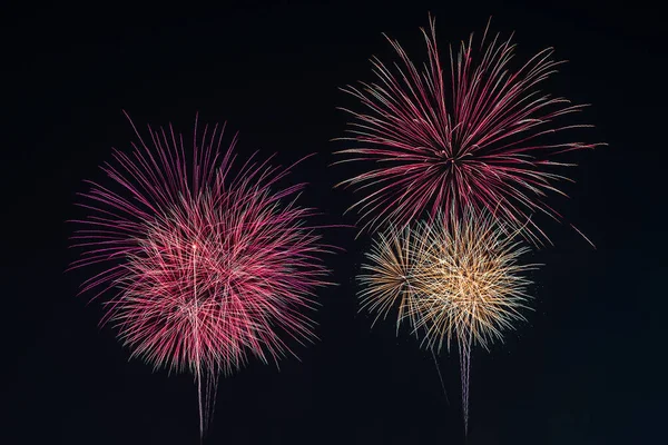Coloridos Fuegos Artificiales Exhiben Noche Vacaciones — Foto de Stock