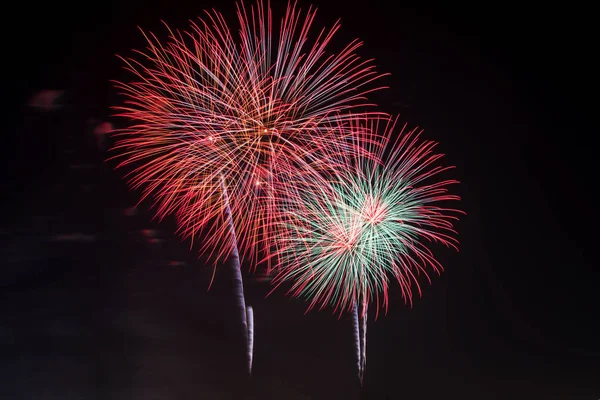 Coloridos Fuegos Artificiales Exhiben Noche Vacaciones — Foto de Stock